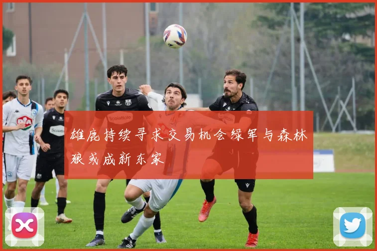 雄鹿持续寻求交易机会绿军与森林狼或成新东家