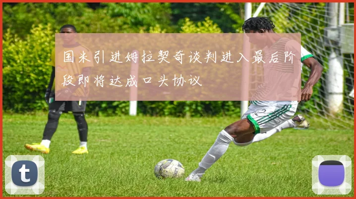 国米引进姆拉契奇谈判进入最后阶段即将达成口头协议