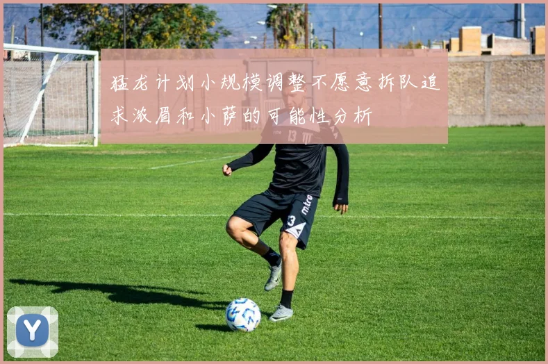 猛龙计划小规模调整不愿意拆队追求浓眉和小萨的可能性分析